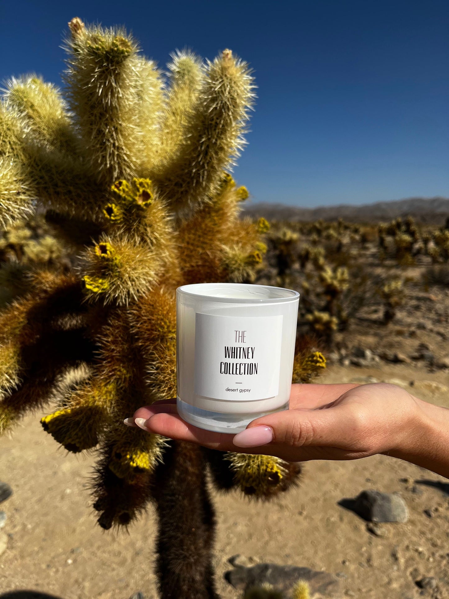 DESERT GYPSY