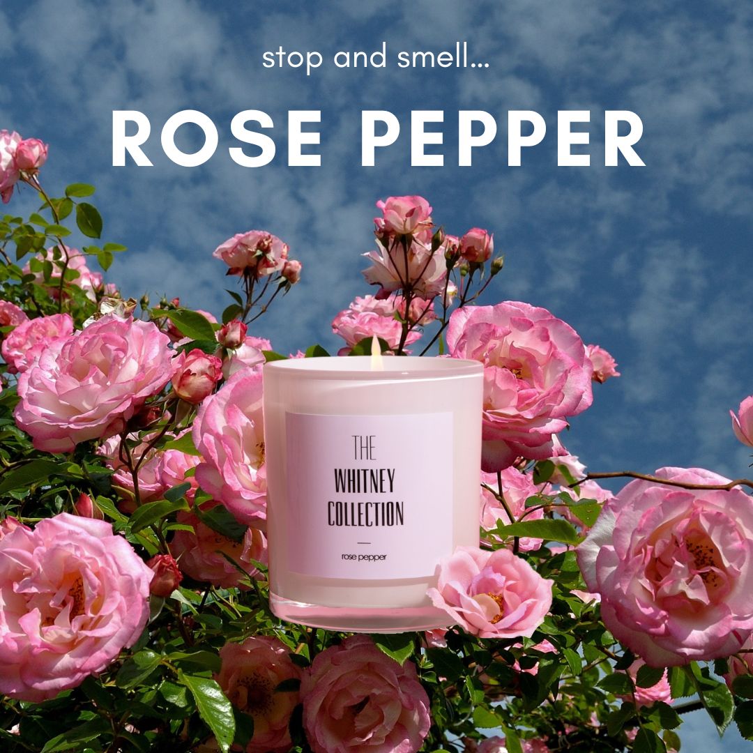 ROSE PEPPER